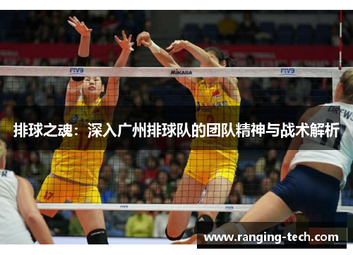排球之魂：深入广州排球队的团队精神与战术解析